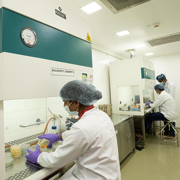 Inquiries test - Dr Amin Lab