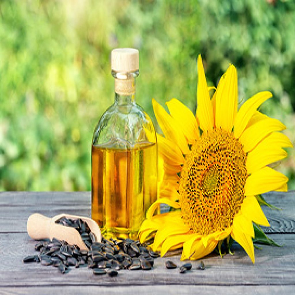 Oil Seeds and By-products